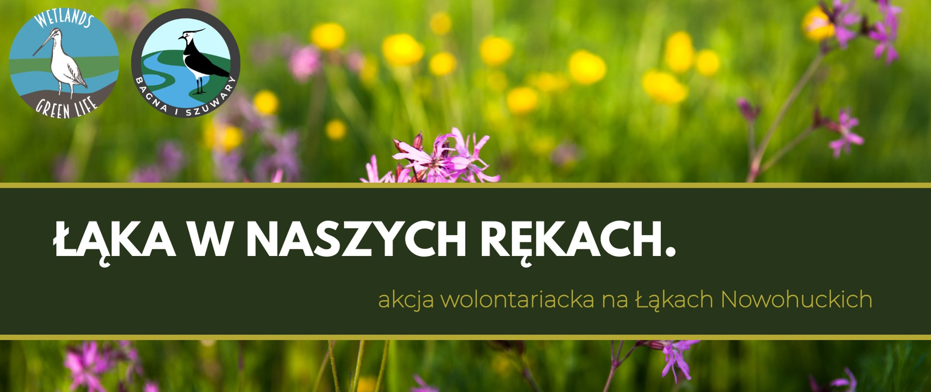 Baner z napisem: łąka w naszych rękach - akcja wolontariacka na Łąkach Nowohuckich. Zapisz się na wydarzenie. W tle zdjęcie łaki, w lewym górnym rogu dwa logotypy: projektu Wetlands Green Life oraz Bagna i Szuwary UR w Krakowie