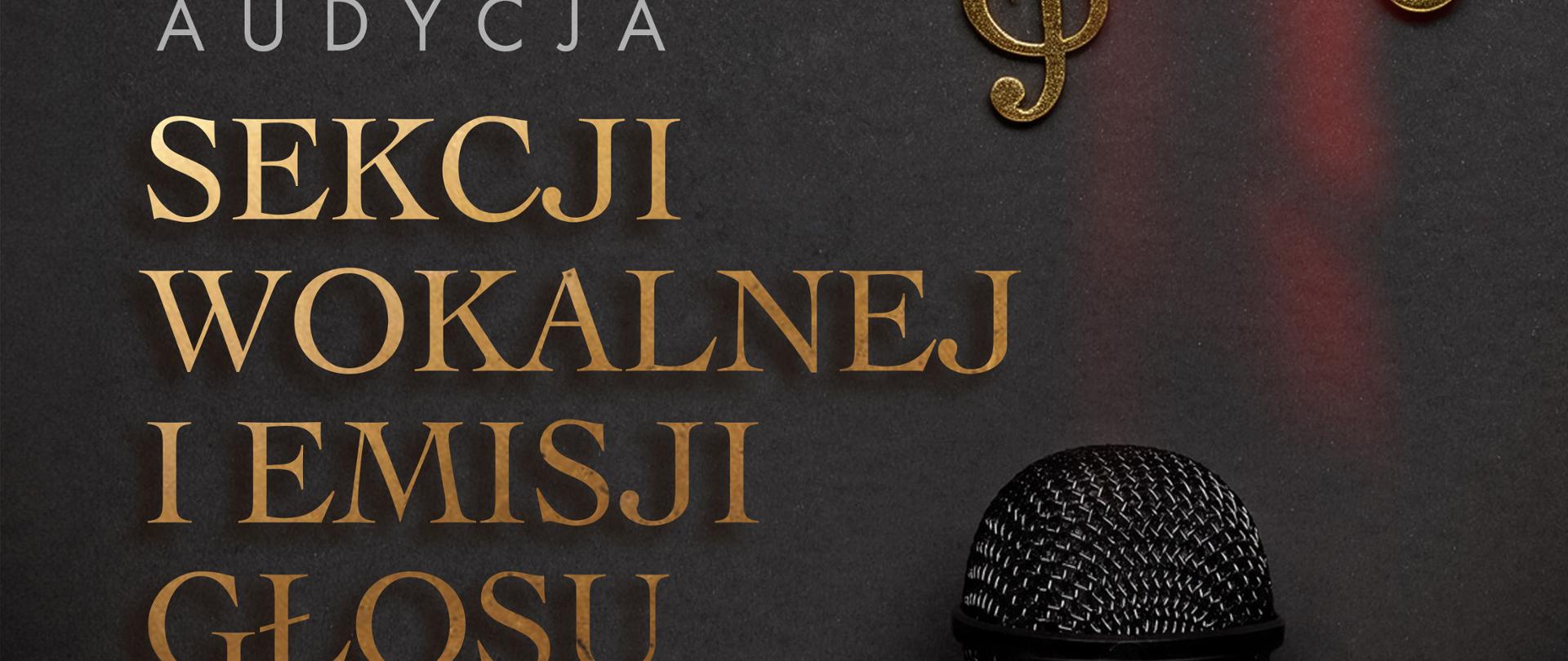 Audycja sekcji wokalnej i emisji głosu - plakat