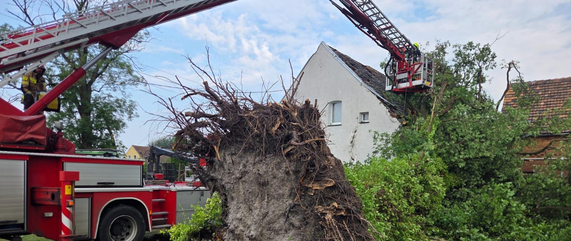 Usuwanie skutków sierpniowych nawałnic w powiecie żarskim