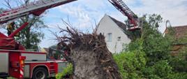 Usuwanie skutków sierpniowych nawałnic w powiecie żarskim
