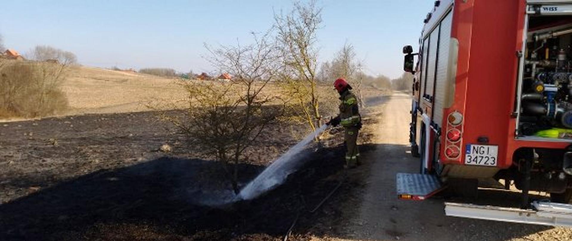 Strażak gasi pożar trawy.