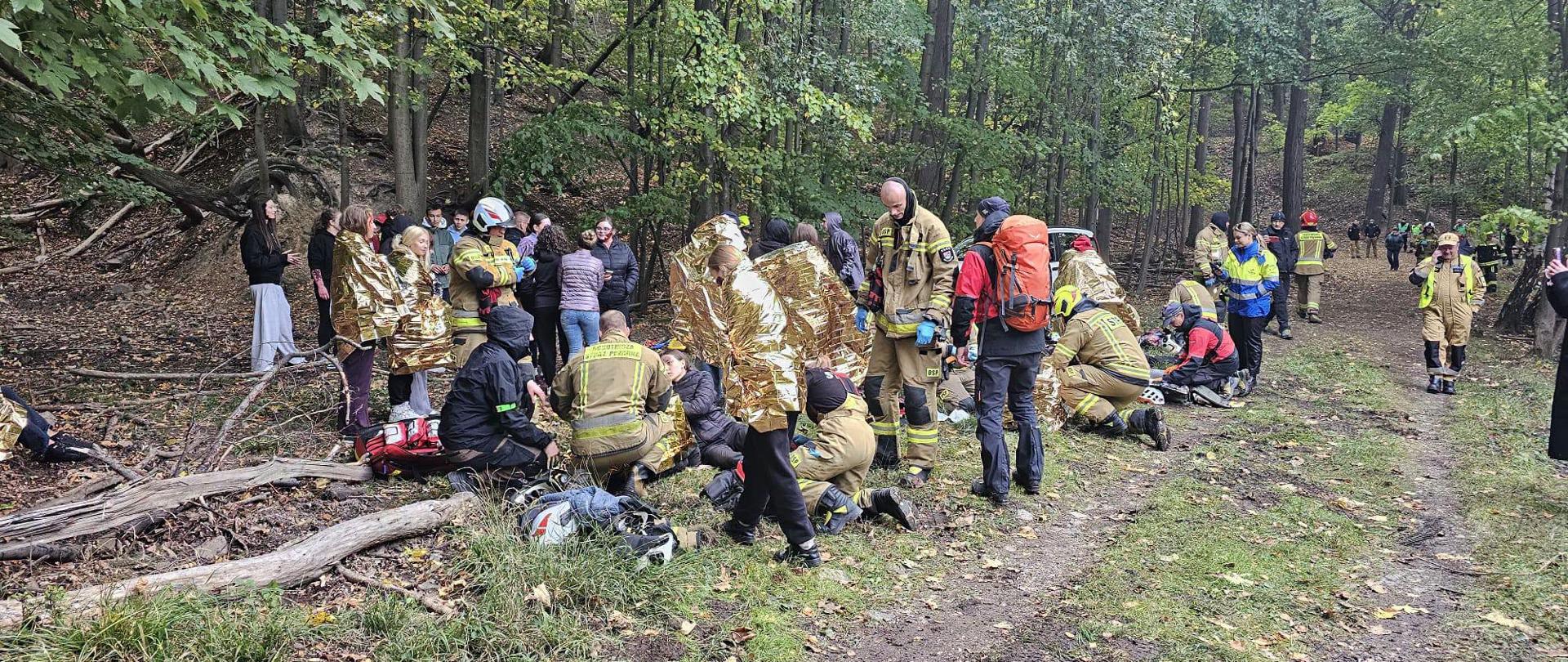 Fotografia ukazuje dużą akcję ratunkową na leśnej drodze pokrytej jesiennymi liśćmi. Strażacy w pełnym umundurowaniu bojowym udzielają pomocy licznym poszkodowanym, którzy siedzą lub leżą na ziemi. Wiele z tych osób jest szczelnie okrytych złotymi i srebrnymi foliami termicznymi, chroniącymi przed wychłodzeniem. Na miejscu znajduje się sprzęt medyczny, a w tle widać kolejne nadchodzące służby i obserwatorów zdarzenia. Cała scena ma charakter realistycznych ćwiczeń z zakresu ratownictwa masowego w trudnym terenie.