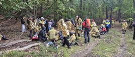 Fotografia ukazuje dużą akcję ratunkową na leśnej drodze pokrytej jesiennymi liśćmi. Strażacy w pełnym umundurowaniu bojowym udzielają pomocy licznym poszkodowanym, którzy siedzą lub leżą na ziemi. Wiele z tych osób jest szczelnie okrytych złotymi i srebrnymi foliami termicznymi, chroniącymi przed wychłodzeniem. Na miejscu znajduje się sprzęt medyczny, a w tle widać kolejne nadchodzące służby i obserwatorów zdarzenia. Cała scena ma charakter realistycznych ćwiczeń z zakresu ratownictwa masowego w trudnym terenie.
