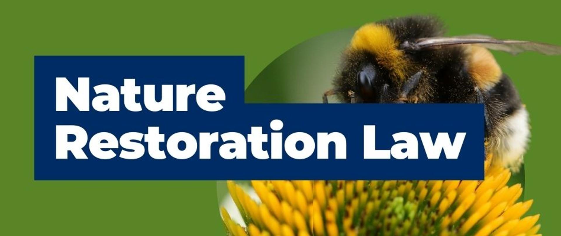 baner Nature Restoration Law