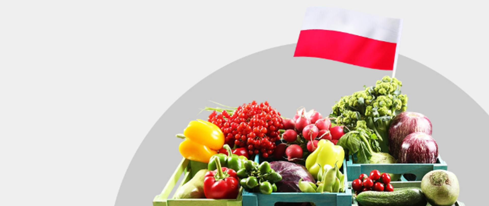 4 drewniane skrzynki w odcieniach zieleni, w skrzynkach warzywa - papryki, rzodkiewki, brokuły, cukinia, bakłażany, szczypiorek, winogrono. Na szczycie biało czerwona flaga Polski. Szare tło. 