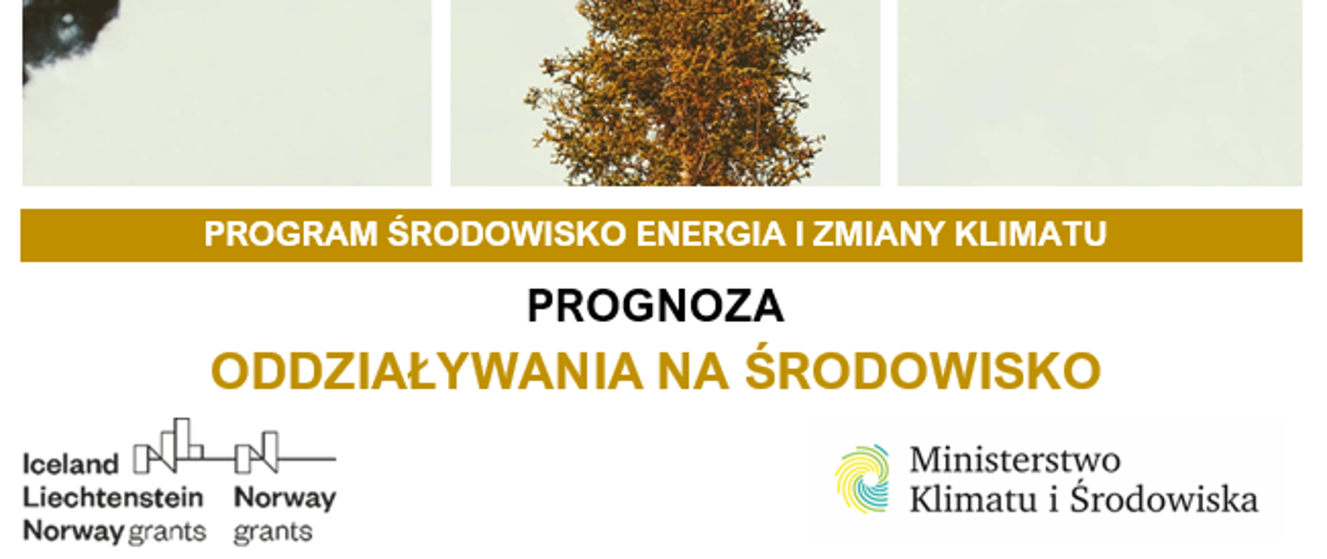 PROGNOZA_ODDZIAŁYWANIA_NA_ŚRODOWISKO