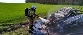 Na zdjęciu strażak w aparacie ODO podający prąd wody celem dogaszenia na spalony samochód 