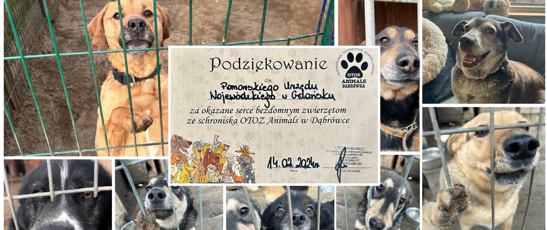 zdjęcia wielu spów ze schroniska i podziękowanie za dary na rzecz schroniska