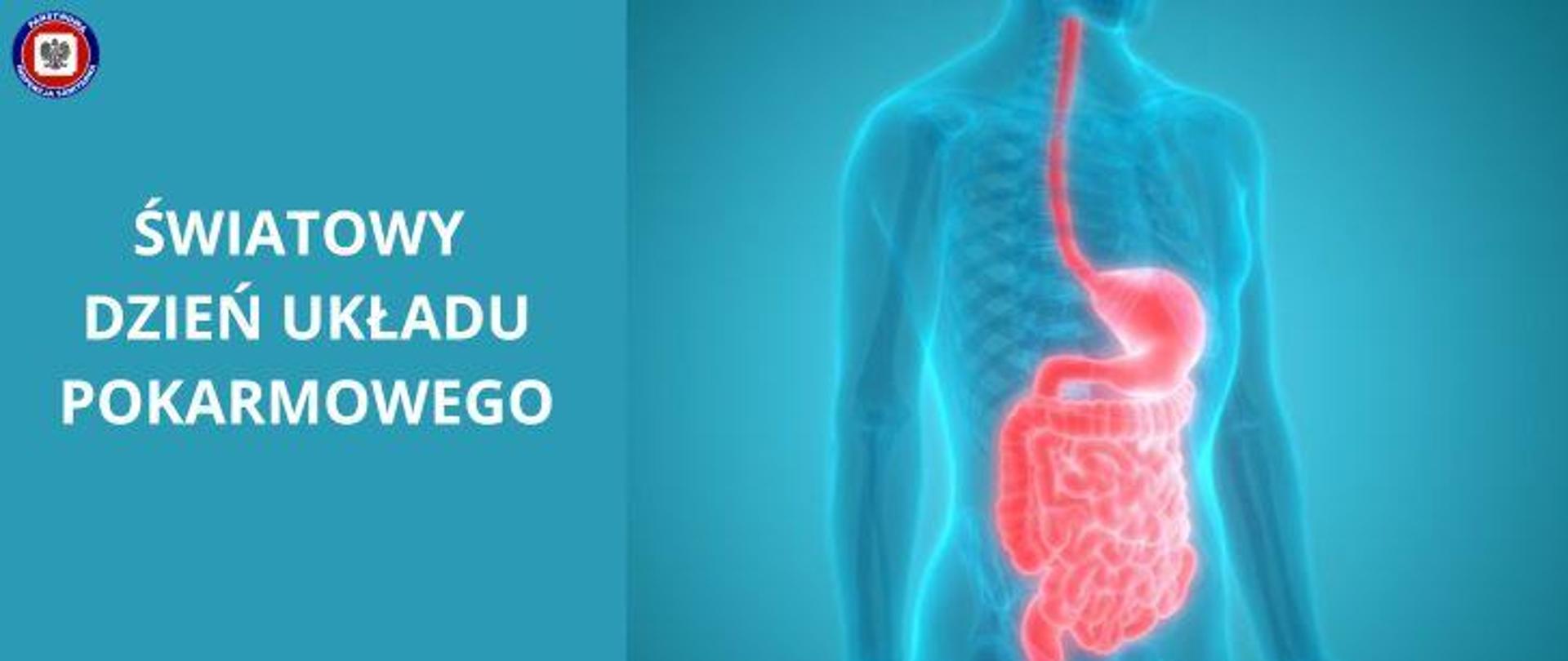 Po lewej na turkusowym tle jasny napis Światowy Dzień Układu Pokarmowego, w lewym górnym rogu logo Państwowej Inspekcji Sanitarnej. Po prawej grafika w kolorze turkusowym przedstawiająca klatkę piersiową człowieka z widocznym układem szkieletowym oraz wyszczególnionym układem pokarmowym w kolorze jasnoczerwonym.