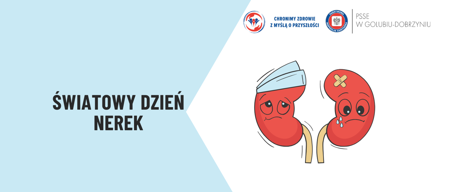 Grafika przedstawiająca po lewej stronie napis: "Światowy Dzień Nerek", po prawej zaś stronie dwie chore nerki - jedna z bandażem, druga z plastrem i płacząca. W prawym górnym rogu wspólne logo Państwowej Inspekcji Sanitarnej z logiem Powiatowej Stacji Sanitarno-Epidemiologicznej w Golubiu-Dobrzyniu.