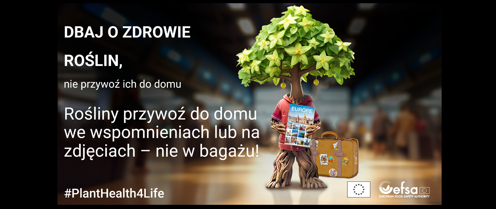 Egzotyczna roślina przypominająca drzewo z żółtymi owocami trzyma w konarowych rękach przewodnik turystyczny po Europie. Za rośliną znajduje się brązowa walizka podróżna. Drugi plan jest rozmazany i ukazuje miejsce oczekiwania podróżnych. Na plakacie znajdują się białe napisy "Dbaj o zdrowie roślin, nie przywoź ich do domu. Rośliny przywoź do domu we wspomnieniach lub na zdjęciach - nie w bagażu! #PlantHealth4Life".