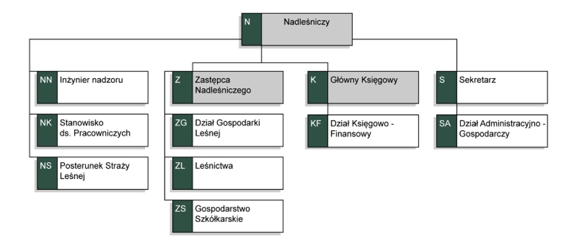 Schemat organizacyjny Nadleśnictwa Pińczów