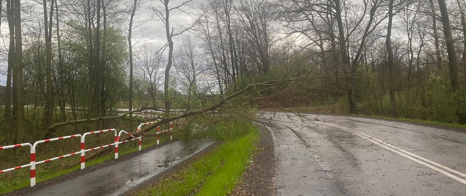 Usuwanie skutków burzy.