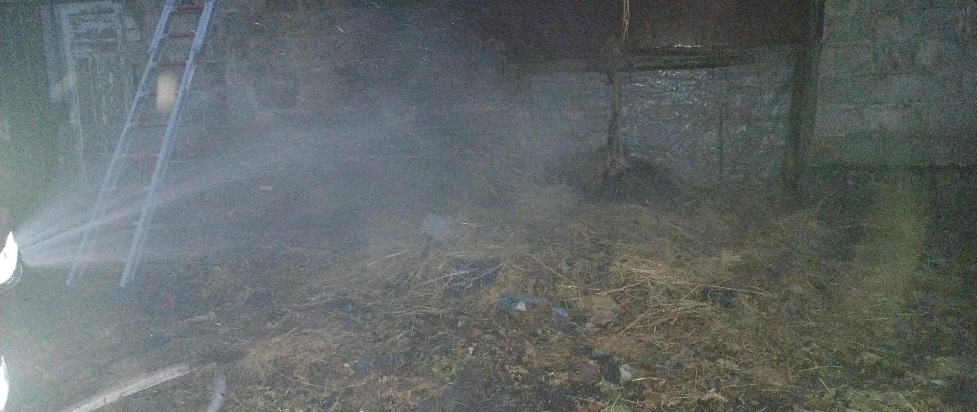 Wnętrze budynku gospodarczego. W tle strażak dogaszający nadpaloną słomę.