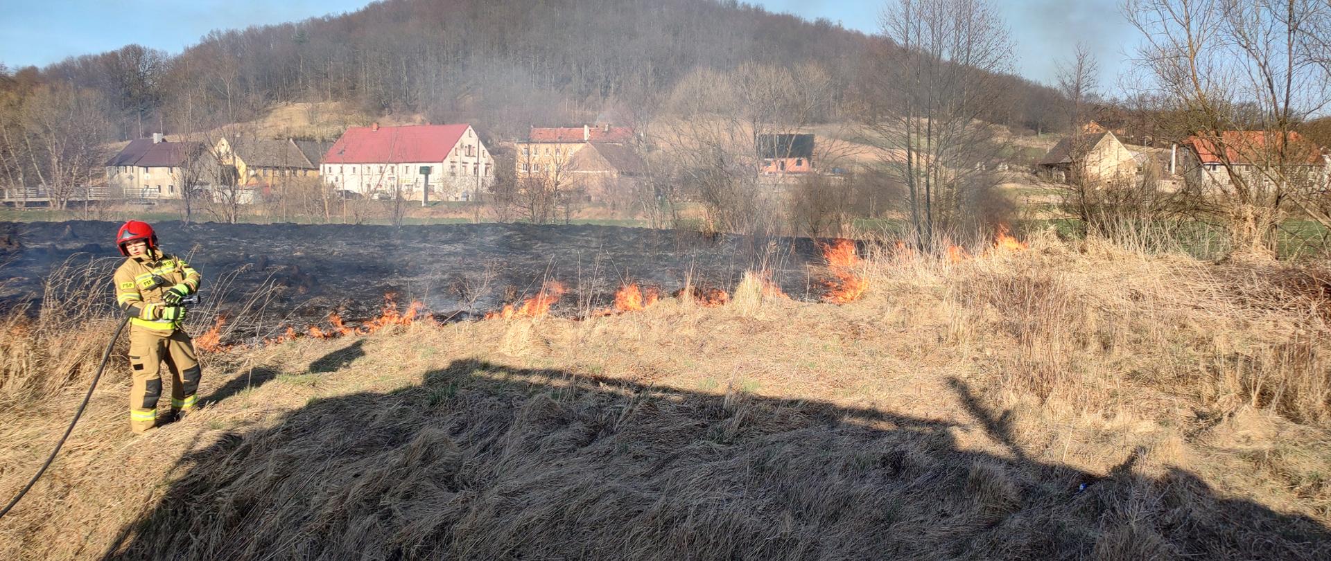 strażak na tle palącej się łąki, w oddali widać szereg zabudowań