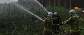 Zdjęcie przedstawia strażaków podających wodę na palący się las