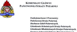 List w formie graficznej - Życzenia Komendanta Głównego PSP z okazji Świąt Bożego Narodzenia 2020 i Nowego 2021 Roku
