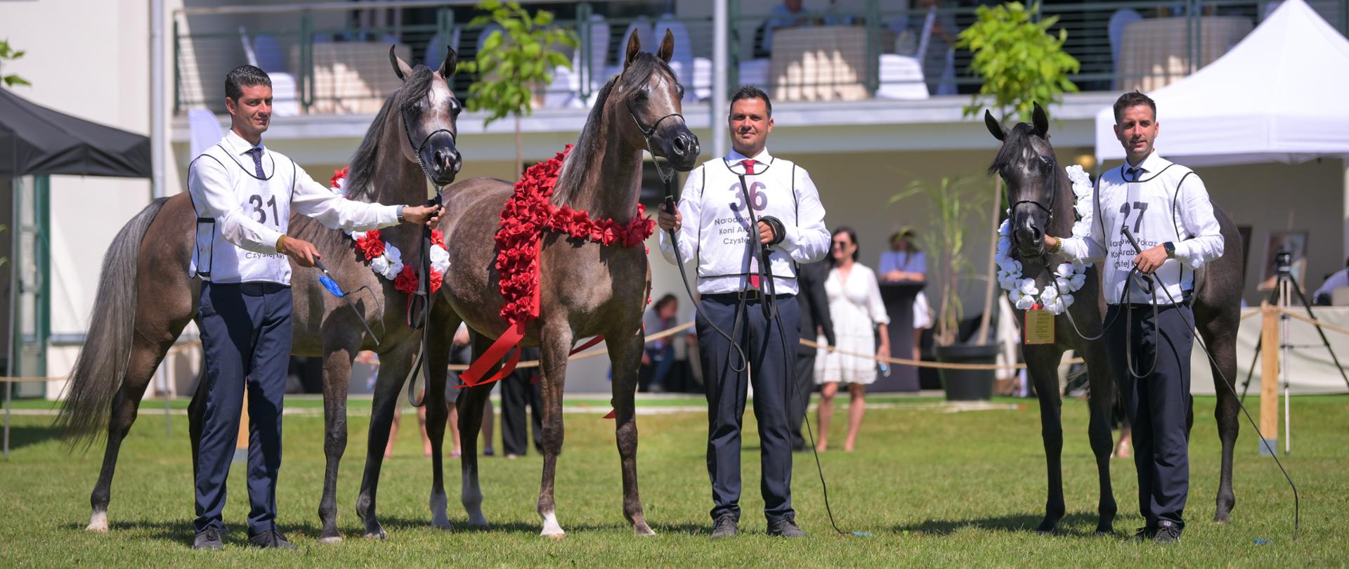 Polish Arabian Horse Days 2026