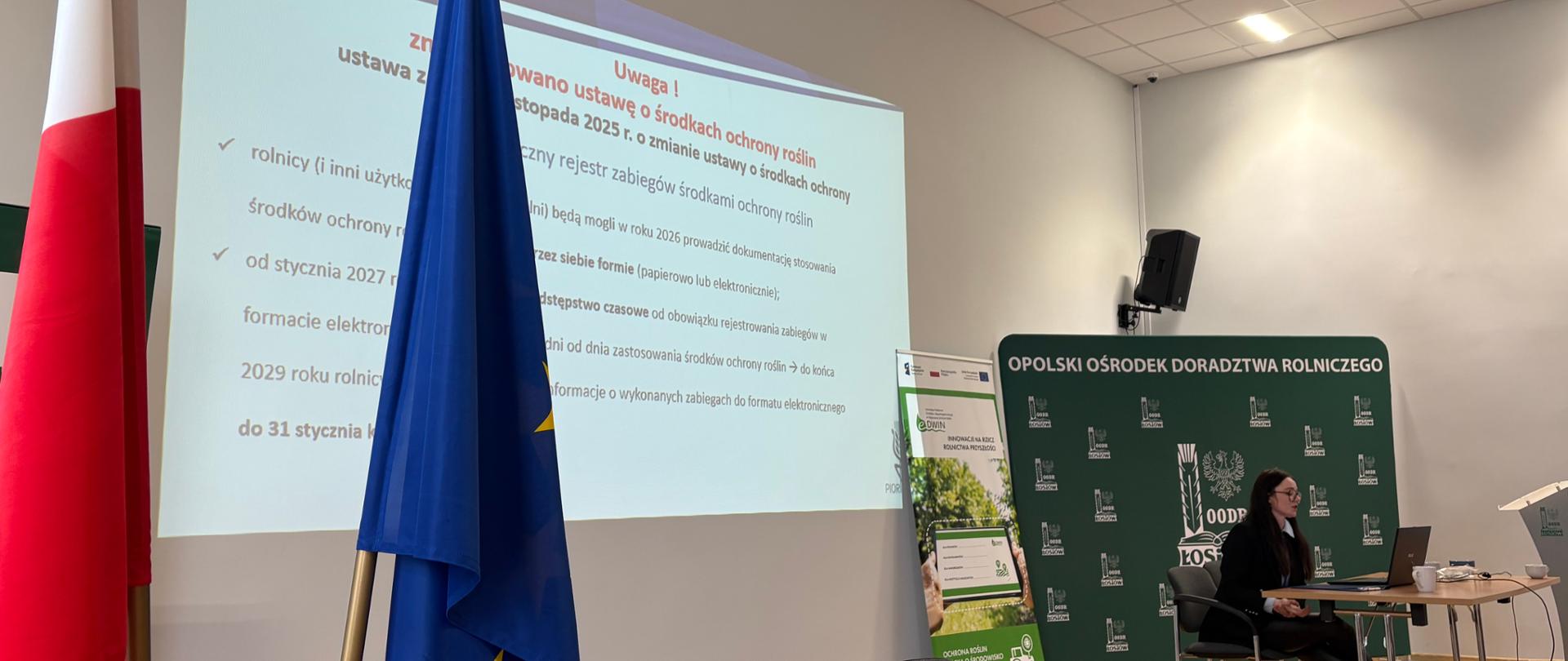 Pracownik WIORiN prezentujący wykład na szkoleniu