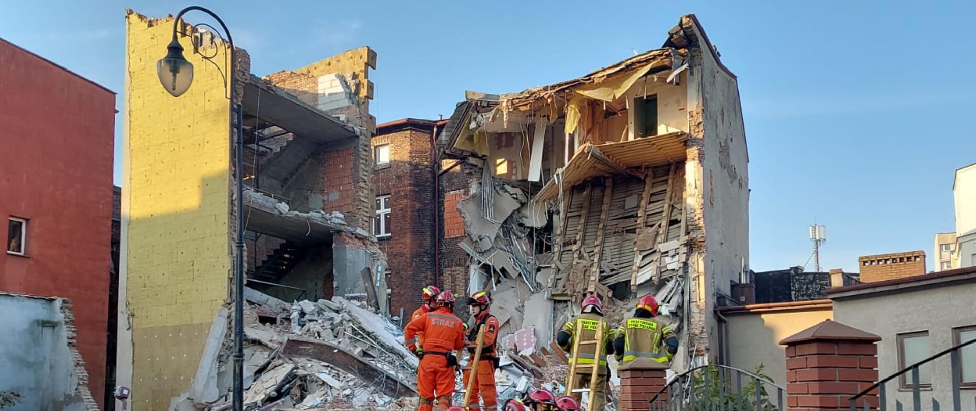 Zdjęcie przedstawia 