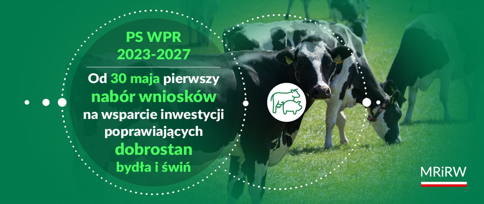 PS WPR 2023-2027 dobrostan bydła i świń 