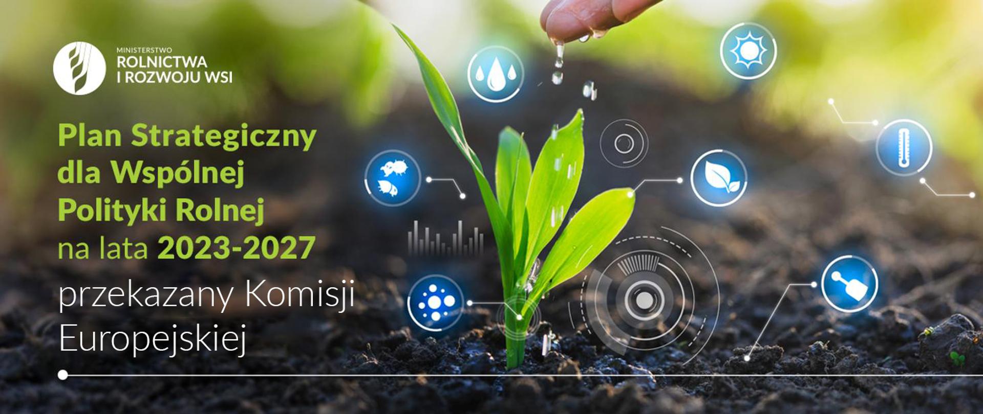 spływające krople wody z dłoni na roślinę