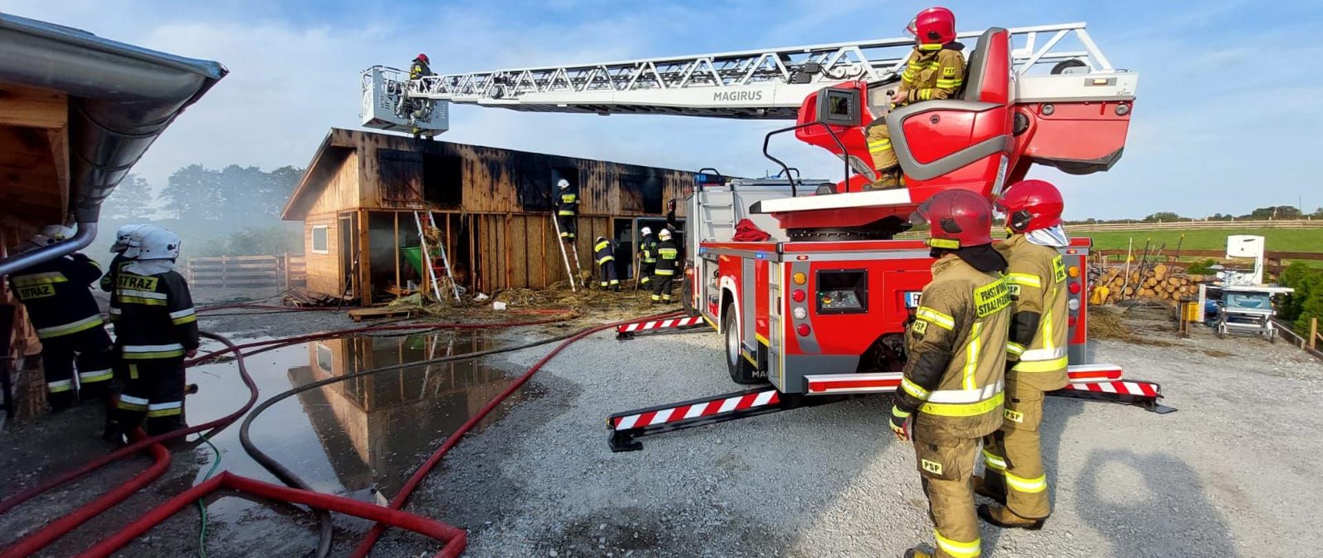 Dzień. Na pierwszym planie drabina mechaniczna SD-30, w tle budynek, w którym doszło do pożaru oraz strażacy prowadzący działania ratownicze.