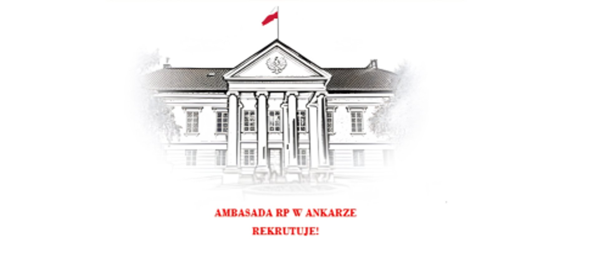 grafika informująca o naborze w Ambasadzie RP w Ankarze