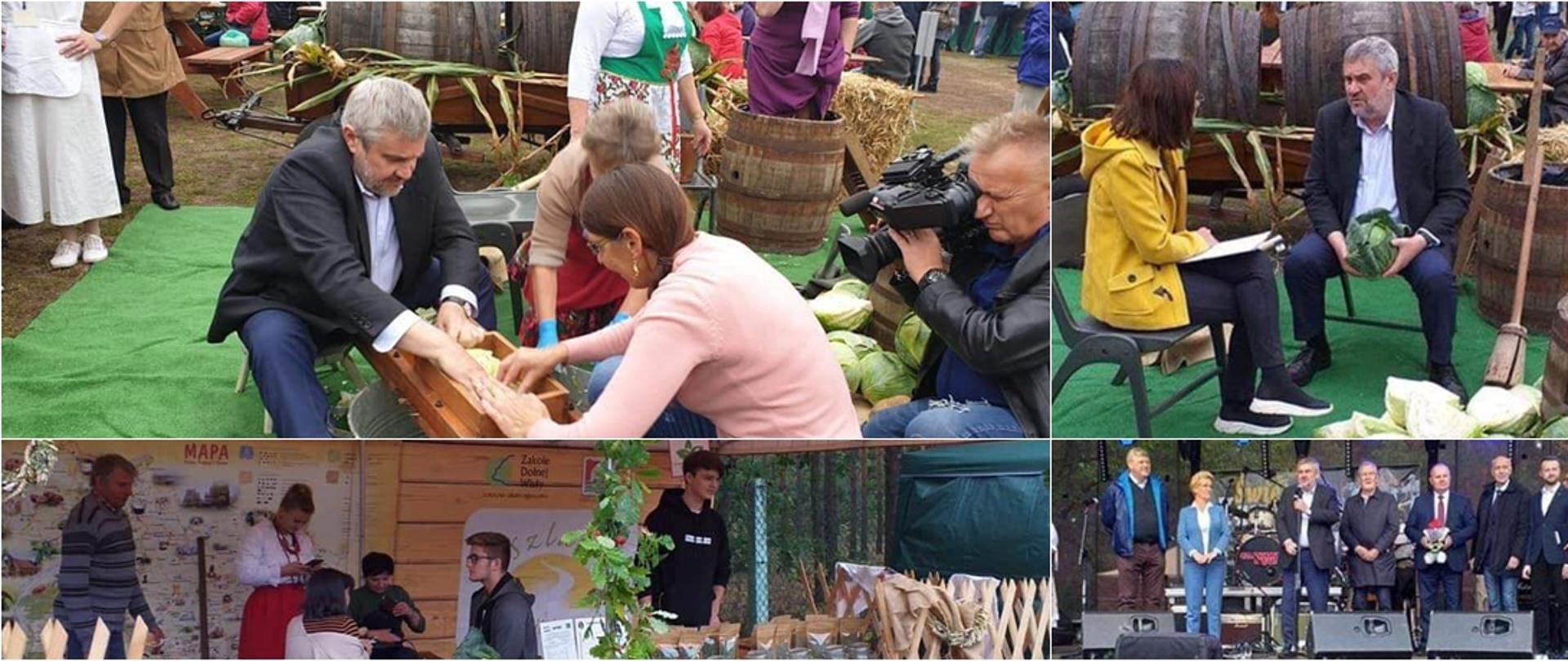 Kolaż - Święto kapusty