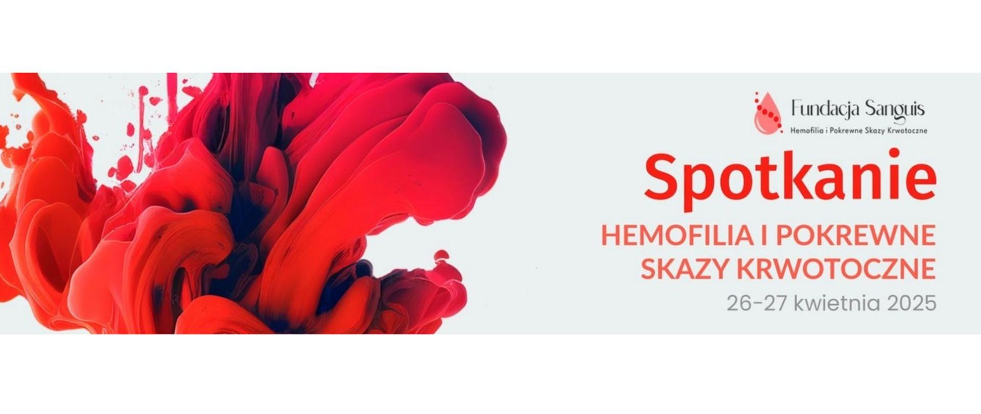 Grafika zawiera nazwę i datę spotkania, a także logo Fundacji Sanguis