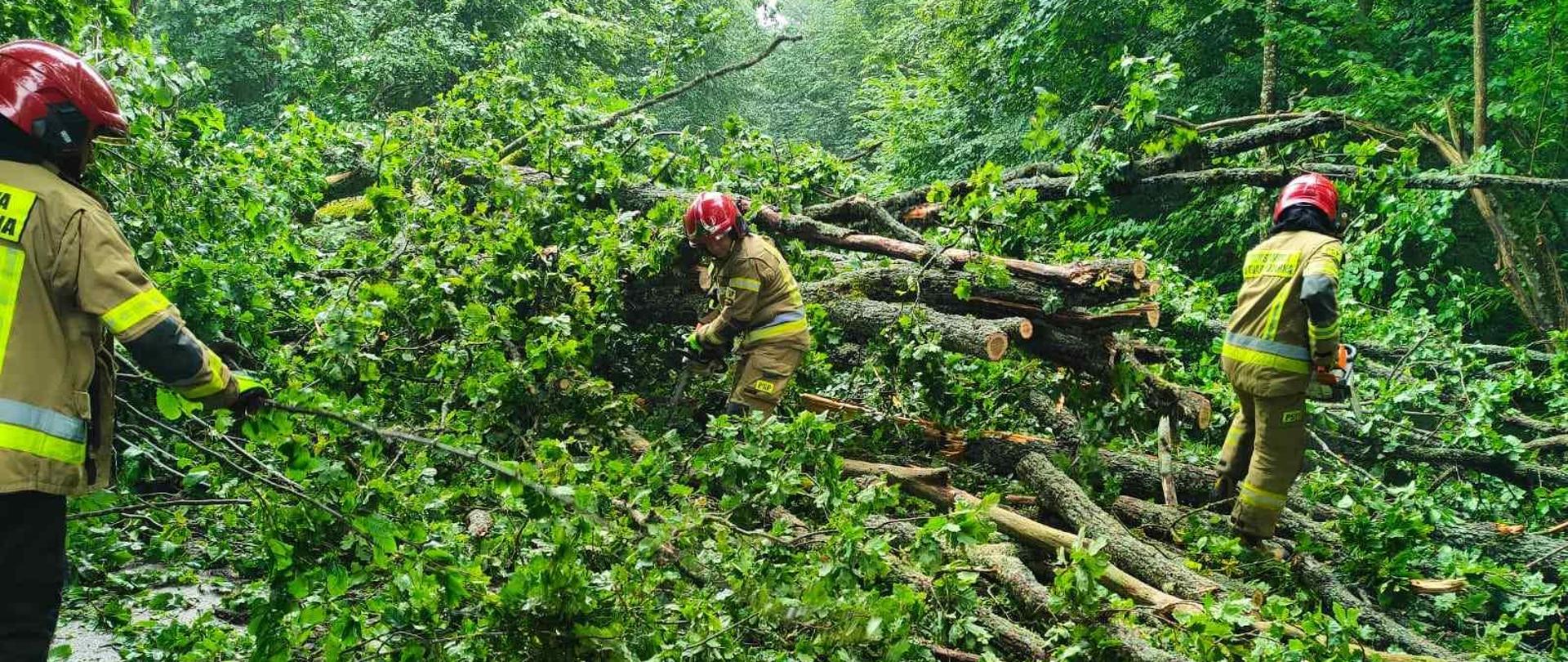 Nawałnice nad powiatem hajnowskim