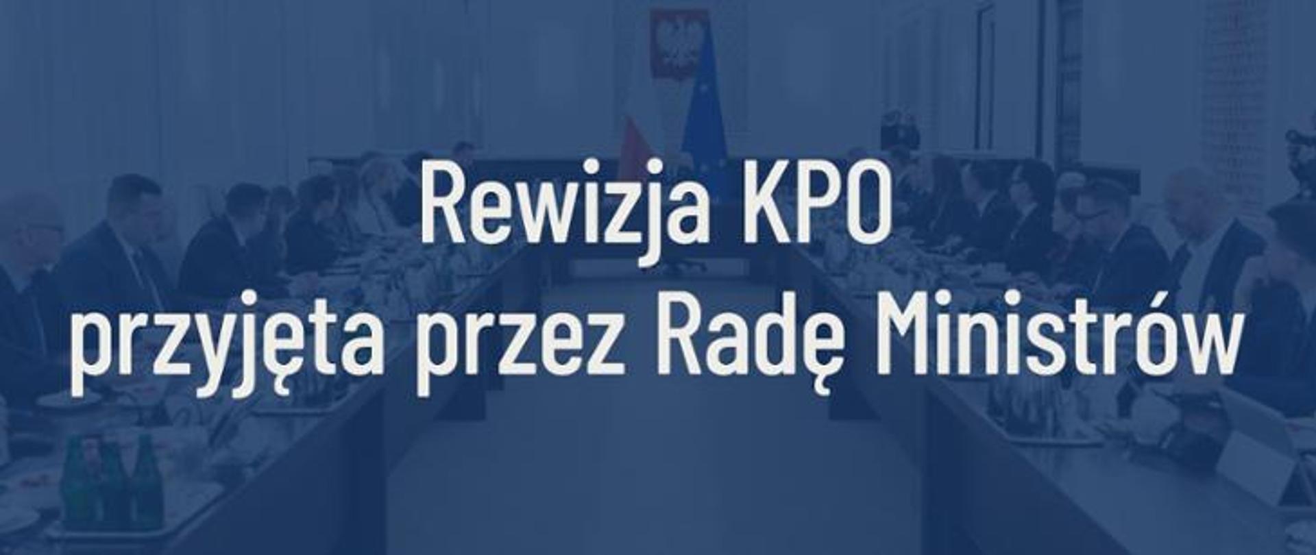 revision of the NRRP