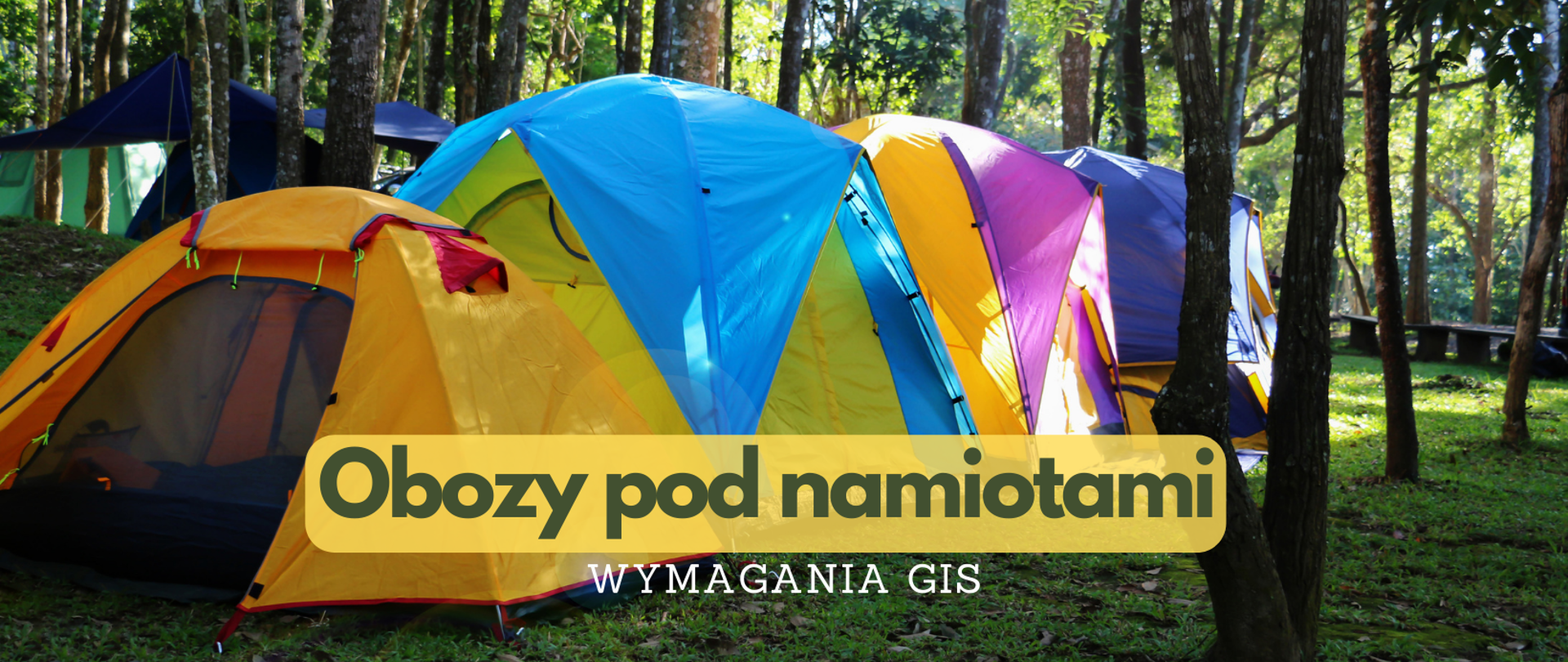 Pole namiotowe w lesie, pomiędzy drzewami, na środku cztery namioty trekingowe, w tle baza turystyczna.
