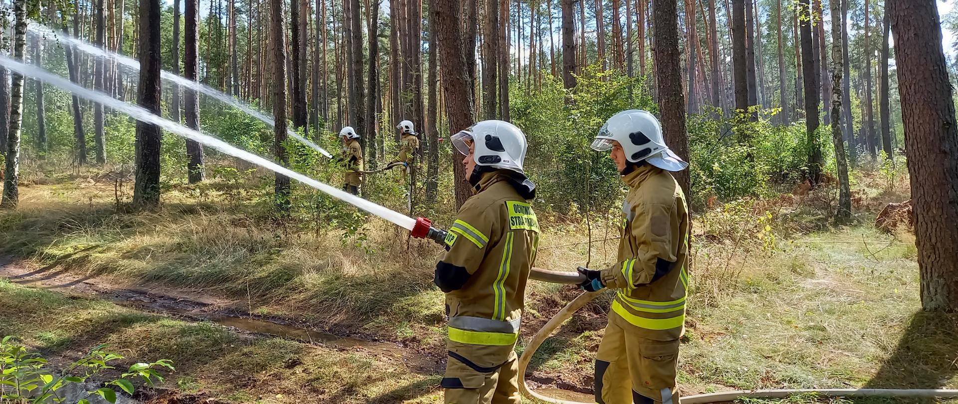 Zdjęcie wykonano w ciągu dnia podczas manewrów Krajeńskie Niwy 2022. Strażacy Ochotniczej Straży Pożarnej w ubraniach specjalnych podczas gaszenia ognia w lesie podają prądy wody w natarciu.