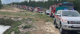 Ciąg pojazdów pożarniczych ze świętokrzyskiego ustawionych jedne za drugim w rejonie leśnym podczas ćwiczeń. Pojazdy mają włączone sygnały świetlne. 