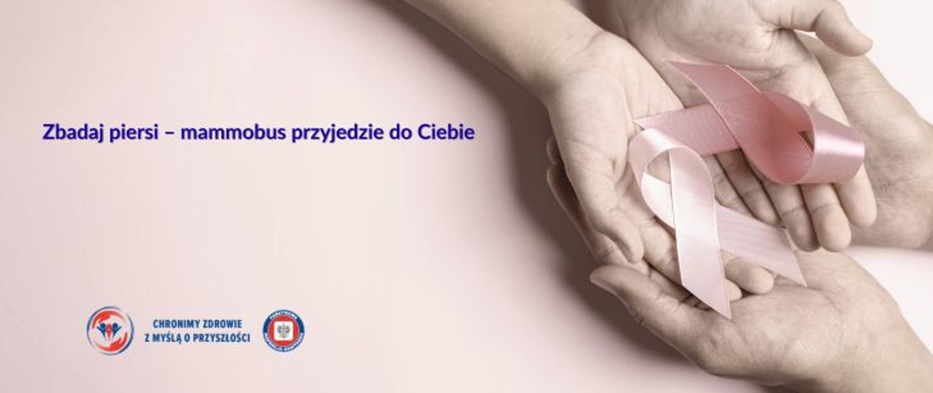 Na różowym tle po prawej stronie dłonie, na dłoniach różowe wstążeczki. Po lewej stronie na środku granatowy napis: Zbadaj piersi- mammobus przyjedzie do Ciebie. W lewym dolnym rogu logo Państwowej Inspekcji Sanitarnej wraz z hasłem Chronimy zdrowie z myślą o przyszłości.
