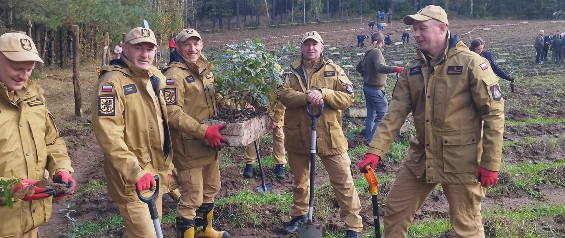 Obchody 80 - cio lecia Leśnictwa Gdańskiego - jubileuszowe sadzenie Lasu