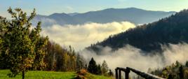 Widok z hali na zamglone góry - Fot. Lucyna Kozub