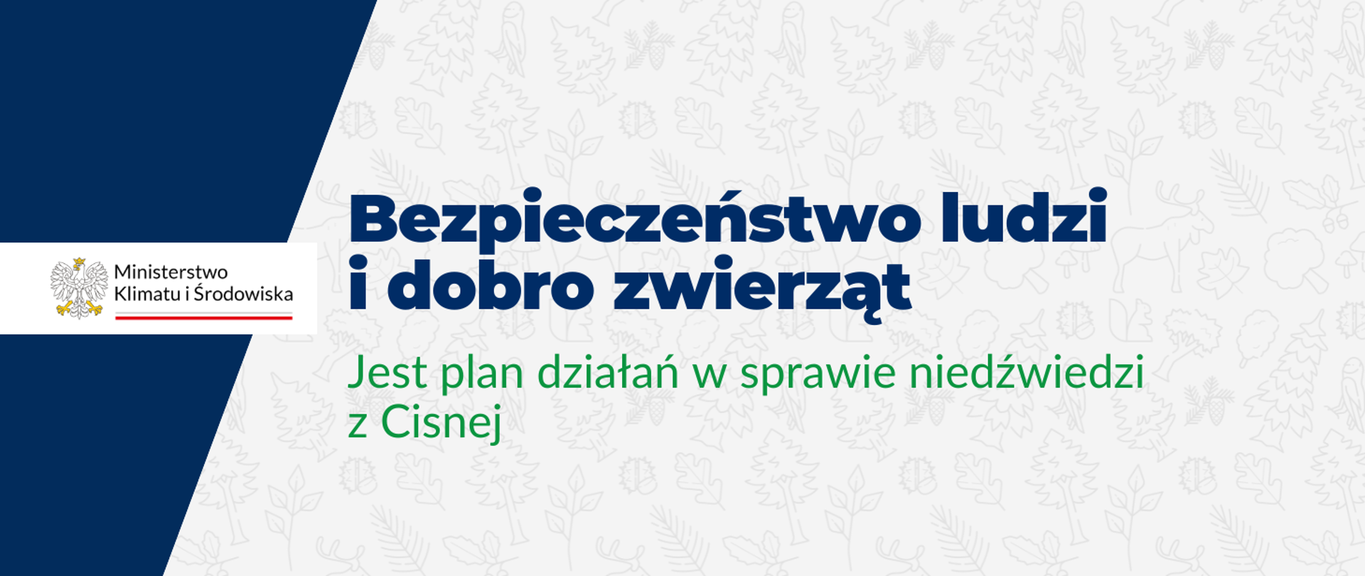 Bezpieczeństwo ludzi i dobro zwierząt - jest plan działań w sprawie niedźwiedzi z Cisnej
