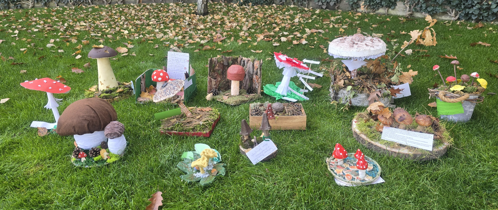 Prace biorące udział w konkursie - Grzyb jak żywy