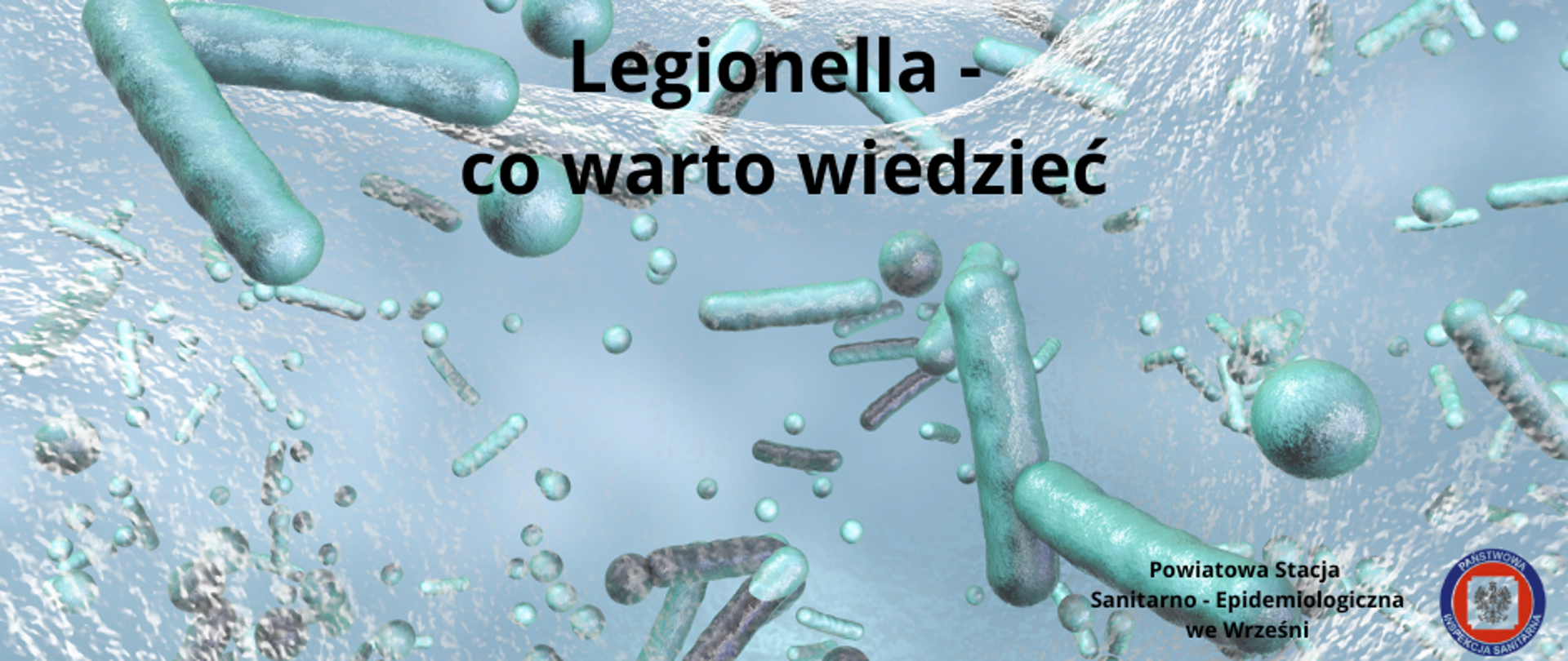 Legionella - co warto wiedzieć