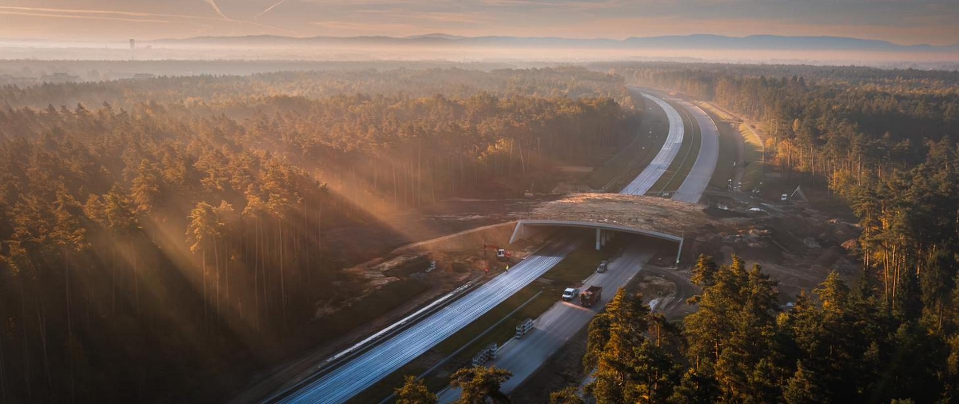Widok z lotu ptaka na drogę ekspresową przebiegającą przez gęsty las w porannym świetle. Promienie słońca przebijają się przez mgłę, oświetlając estakadę ekologiczną nad jezdniami i okoliczną zieleń.