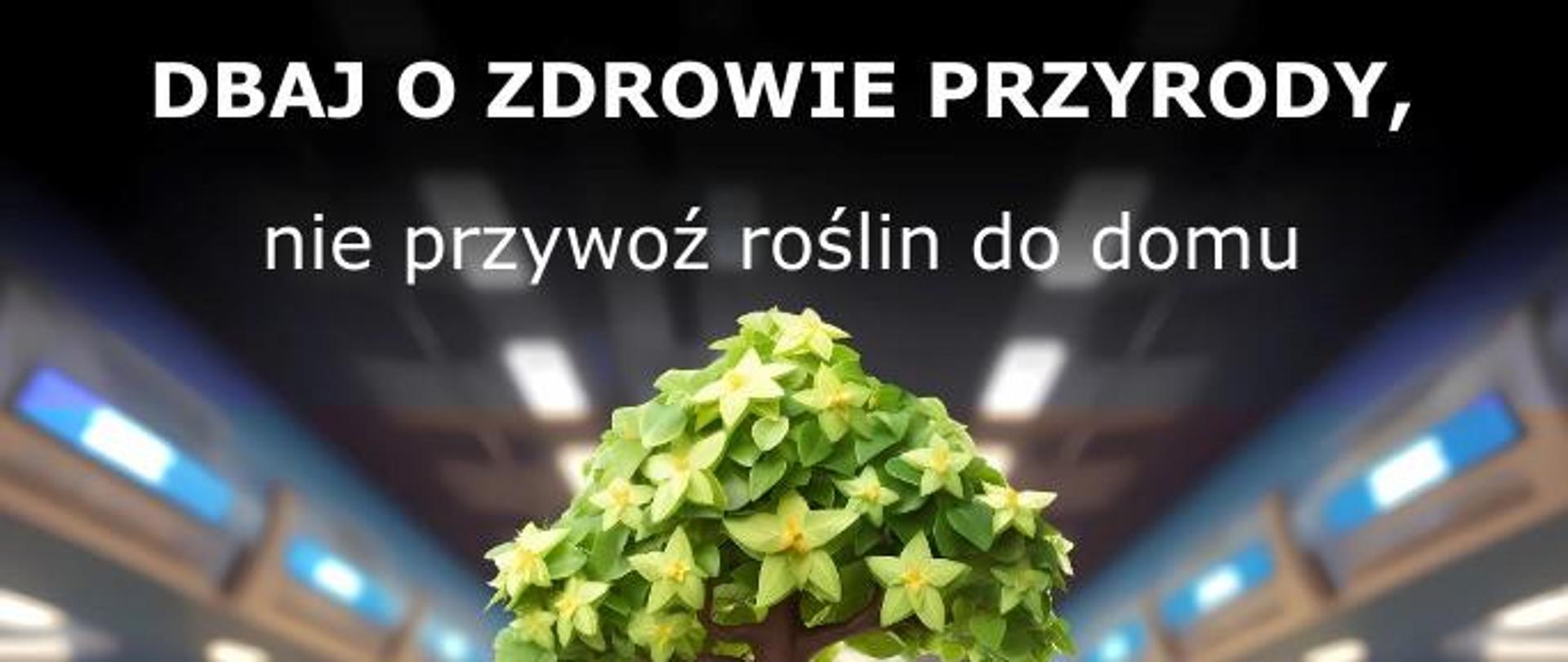 PlantHealth4Life2024