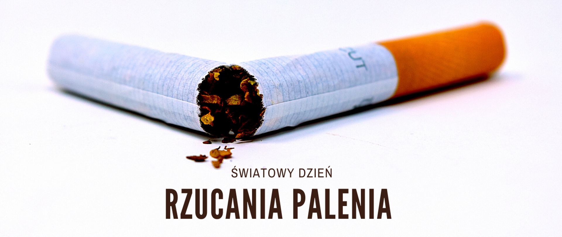 złamany papieros na białym tle