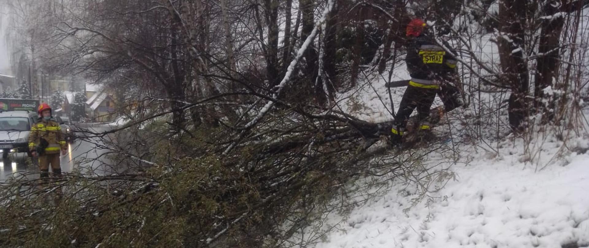 Na zdjęciu widoczne jest drzewo, które przewróciło się na chodnik i jezdnię. Dwóch strażaków z wykorzystaniem pilarki przecina drzewo aby go usunąć i odblokować przejazd.