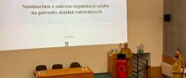 Seminarium z zakresu organizacji sztabu na potrzeby działań ratowniczych