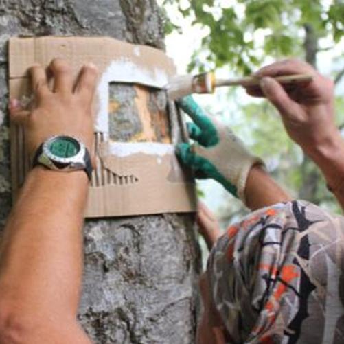 Tourism in Adjara - implementing elements of Regional Development Strategy of the Autonomous Republic of Adjar