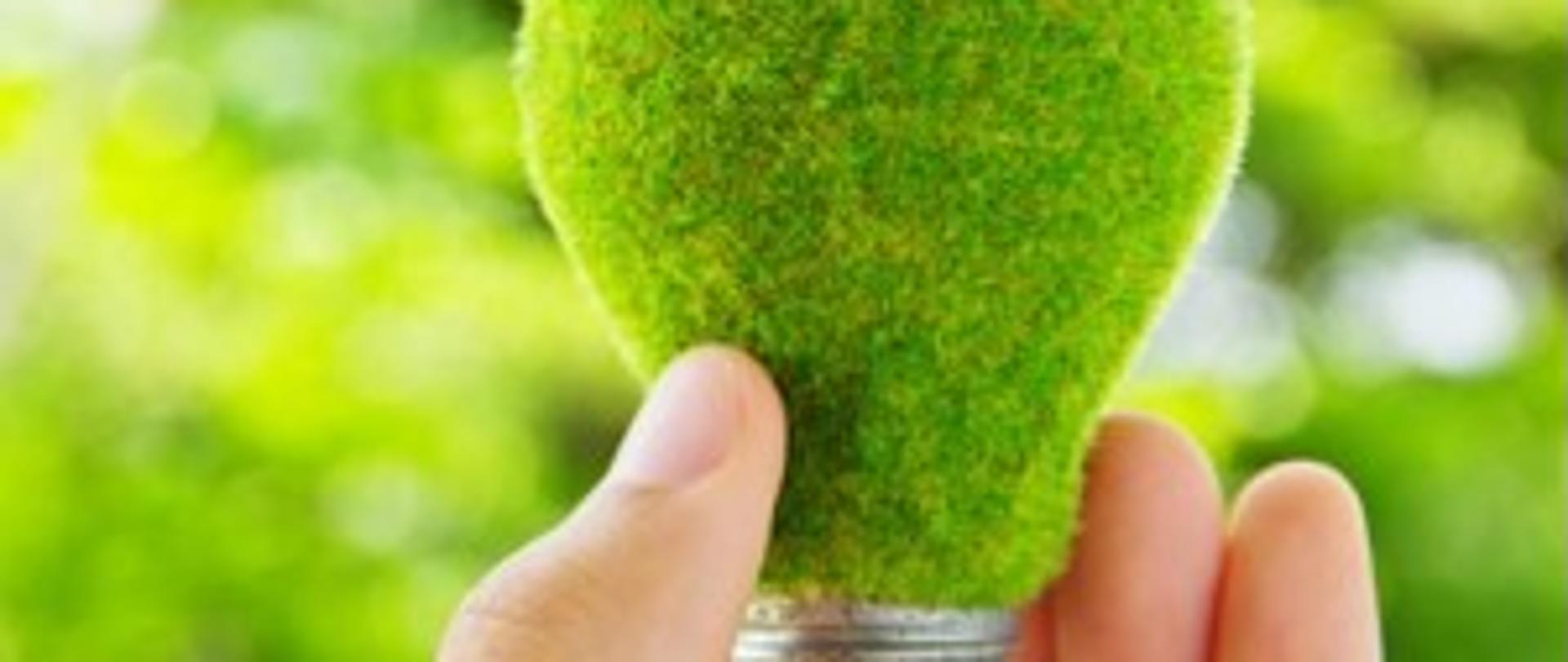 Grafika ilustracyjna. Żarówka