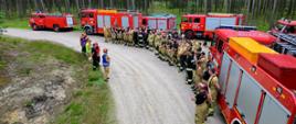 Ćwiczenia strażaków w Nadleśnictwie Grodziec [25.06.2024]