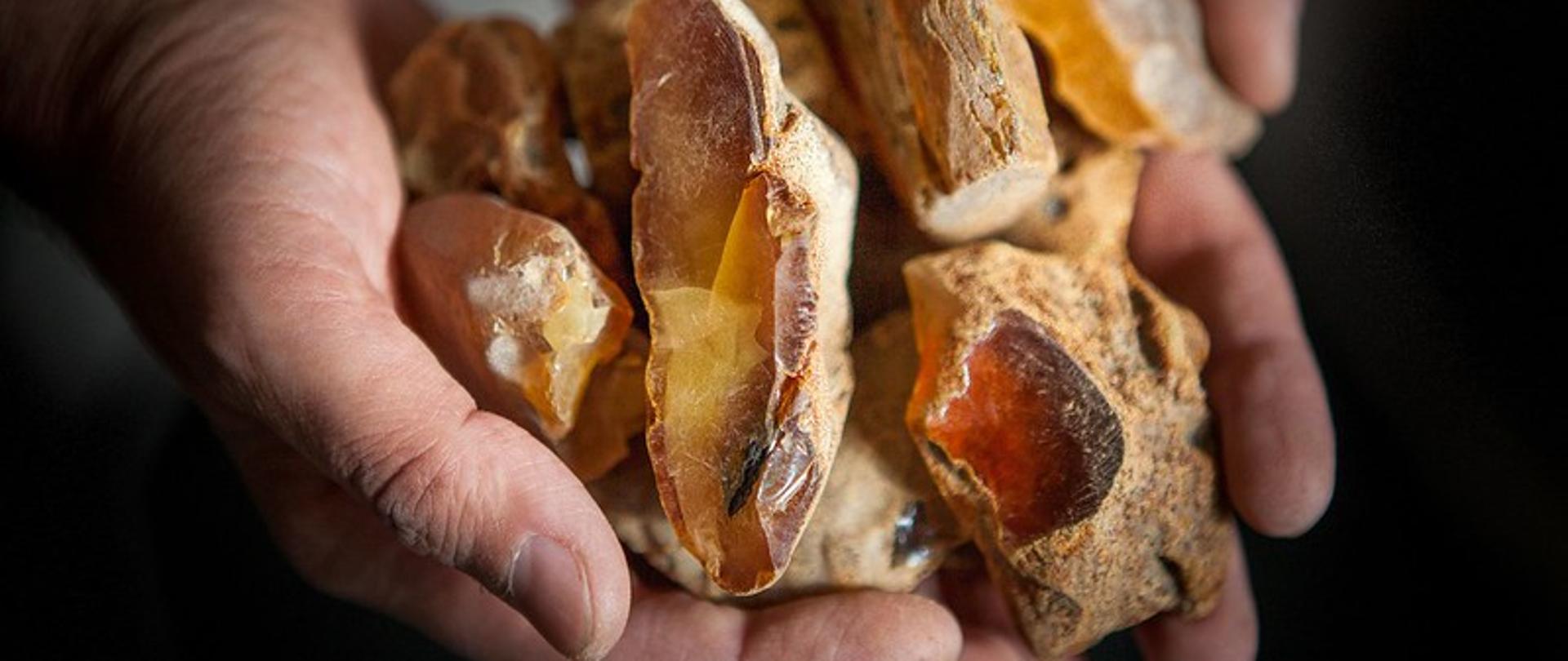 Bursztyn_Fot_Mariusz_Cieszewski__MSZ_Flickr